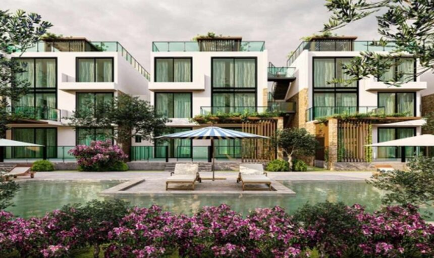 alert-muhendislik-kayim-olive-tree